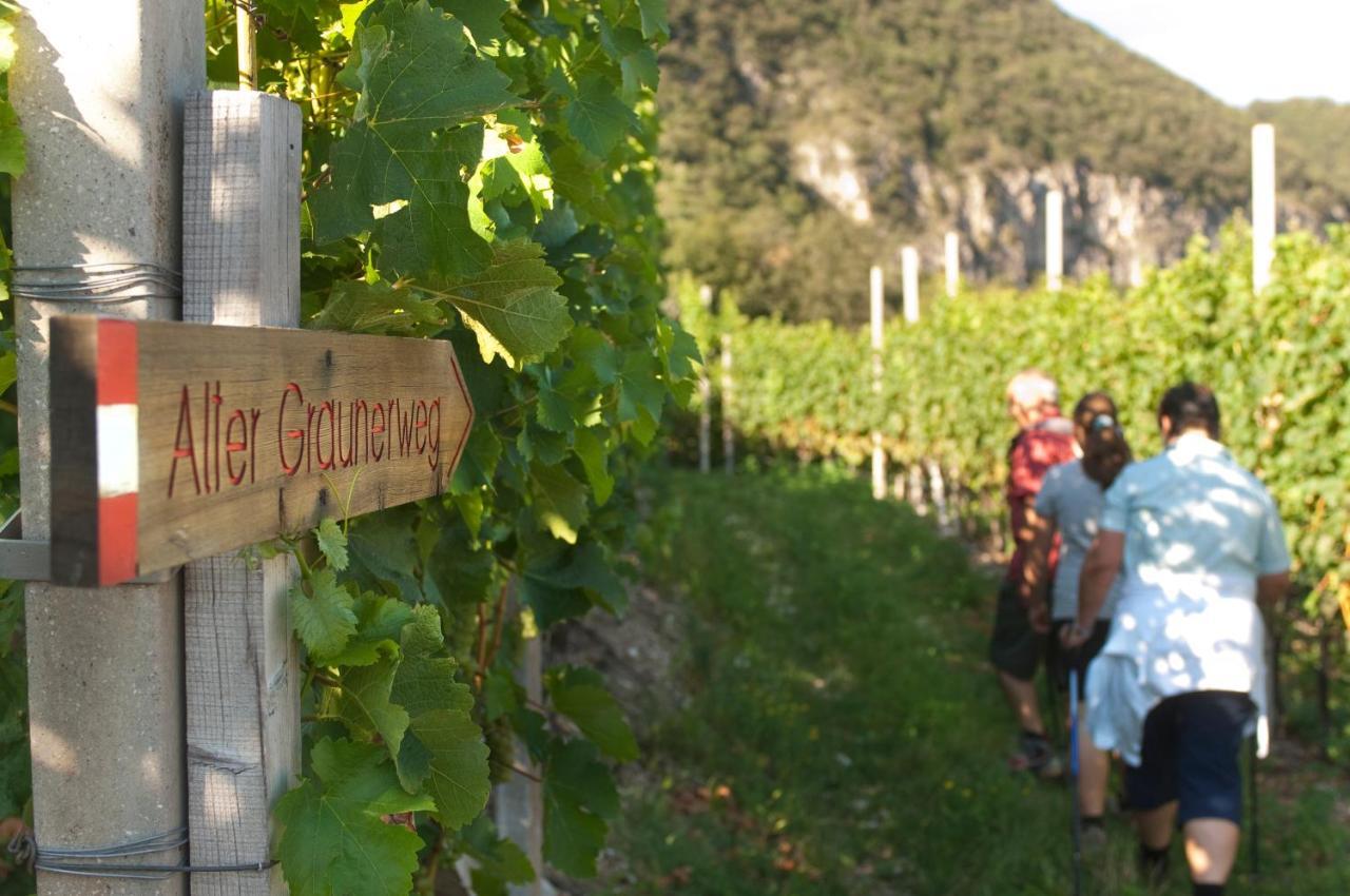 Santlhof - Sauvignon Διαμέρισμα Cortaccia Εξωτερικό φωτογραφία